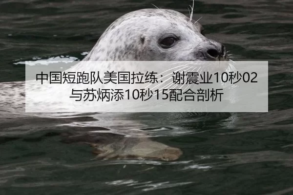中国短跑队美国拉练：谢震业10秒02与苏炳添10秒15配合剖析